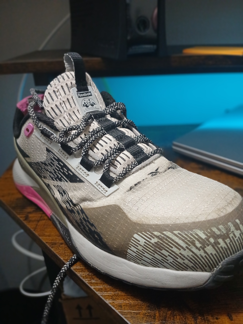 Reebok Women's Neutral Run Shoe in Beige and Pink